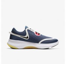 Жіночі кросівки Nike Joyride Dual Run CD4363-400
