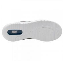 Жіночі кросівки Nike Amixa CD5403-002