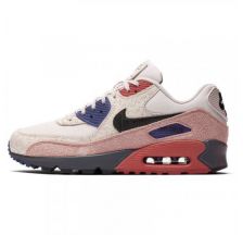 Чоловічі кросівки Nike Air Max 90 CI5646-001