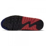 Чоловічі кросівки Nike Air Max 90 CI5646-001_image_6