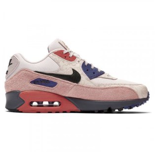Чоловічі кросівки Nike Air Max 90 CI5646-001