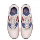 Чоловічі кросівки Nike Air Max 90 CI5646-001_image_3