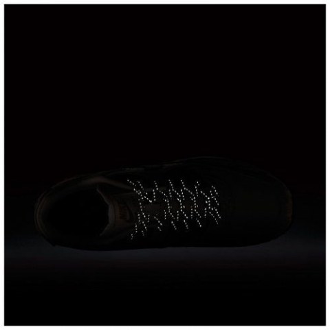 Чоловічі кросівки Nike Air Max 90 CI5646-001_image_5