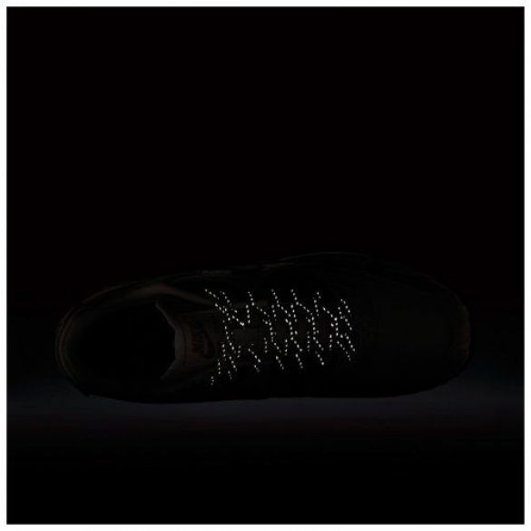 Чоловічі кросівки Nike Air Max 90 CI5646-001_image_5