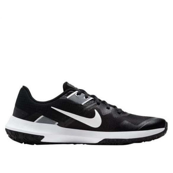 Мужские кроссовки Nike Varsity Compete TR 3 CJ0813-001_image_1