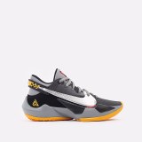 Кросівки Nike Zoom Freak 2 CK5424-006_image_1