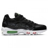 Чоловічі кросівки Nike Air Max 95 SE CQ9743-001_image_1
