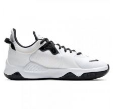 Мужские кроссовки Nike PG 5 CW3143-100