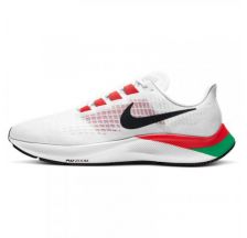 Чоловічі кросівки Nike Air Zoom Pegasus 37 EK DD9478-100