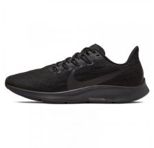 Жіночі кросівки Nike Air Zoom Pegasus 36 AQ2210-006