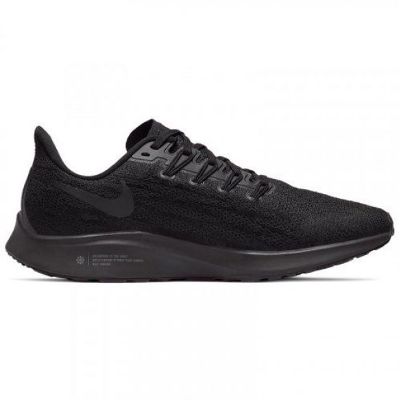 Женские кроссовки Nike Air Zoom Pegasus 36 AQ2210-006_image_1