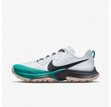 Жіночі кросівки Nike Air Zoom Terra Kiger 7 CW6066-003