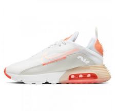 Жіночі кросівки Nike Air Max 2090 DH3891-100