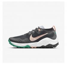 Жіночі кросівки Nike Wildhorse 7 CZ1864-001