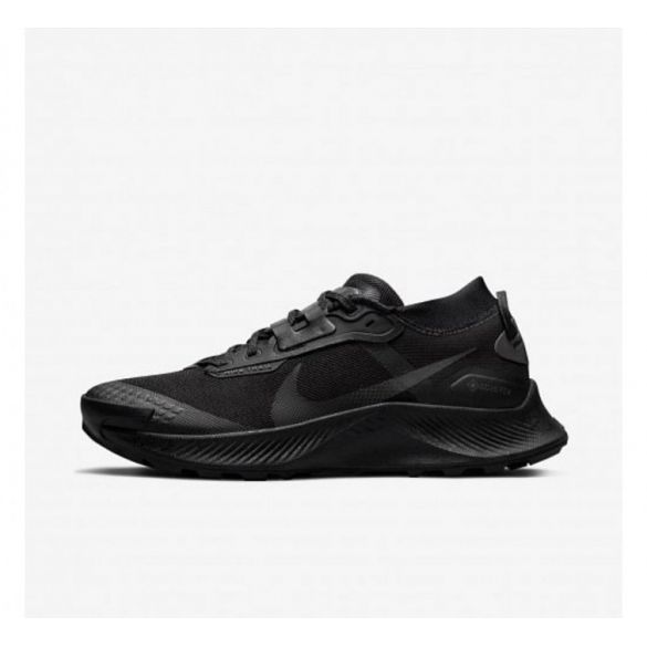 Кросівки для бігу Nike Pegasus Trail 3 Gore Tex Black DC8794-001_image_2