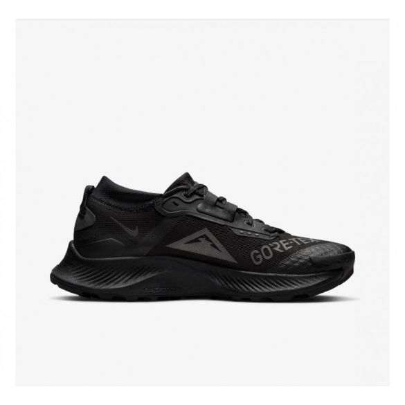 Кросівки для бігу Nike Pegasus Trail 3 Gore Tex Black DC8794-001_image_1