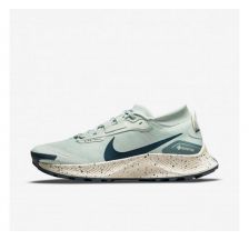Кросівки для бігу Nike Pegasus Trail 3 Gore Tex DC8794-003