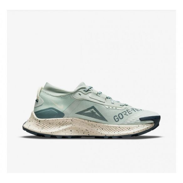 Кроссовки для бега Nike Pegasus Trail 3 Gore Tex DC8794-003_image_1