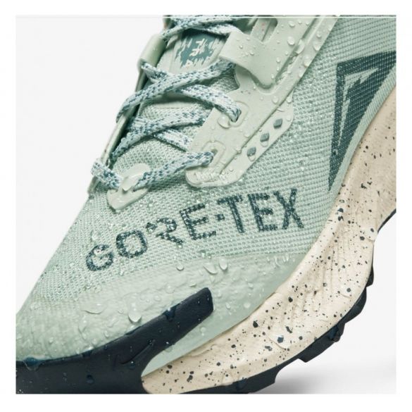Кросівки для бігу Nike Pegasus Trail 3 Gore Tex DC8794-003_image_5