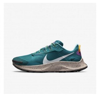 Кросівки для бігу Nike Pegasus Trail 3 DA8697-300