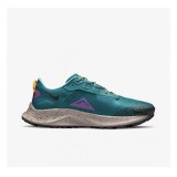 Кроссовки для бега Nike Pegasus Trail 3 DA8697-300_image_1