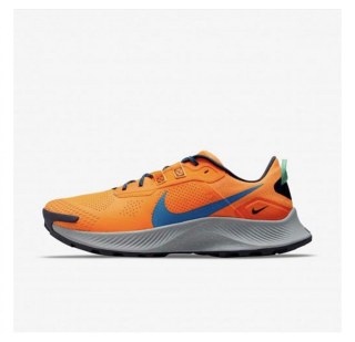 Кросівки Nike Pegasus Trail 3 DA8697-800