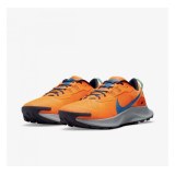 Кроссовки Nike Pegasus Trail 3 DA8697-800_image_5