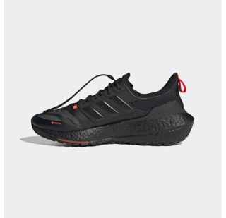 Кросівки Adidas Ultraboost 21 Gore-Tex FZ2555