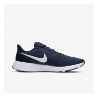 Мужские кроссовки Nike Revolution 5 BQ3204-400