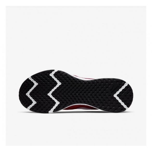 Мужские кроссовки Nike Revolution 5 BQ3204-600_image_6