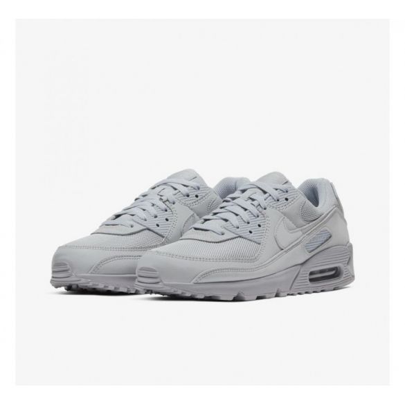 Кросівки NIKE AIR MAX 90 CN8490-001_image_5