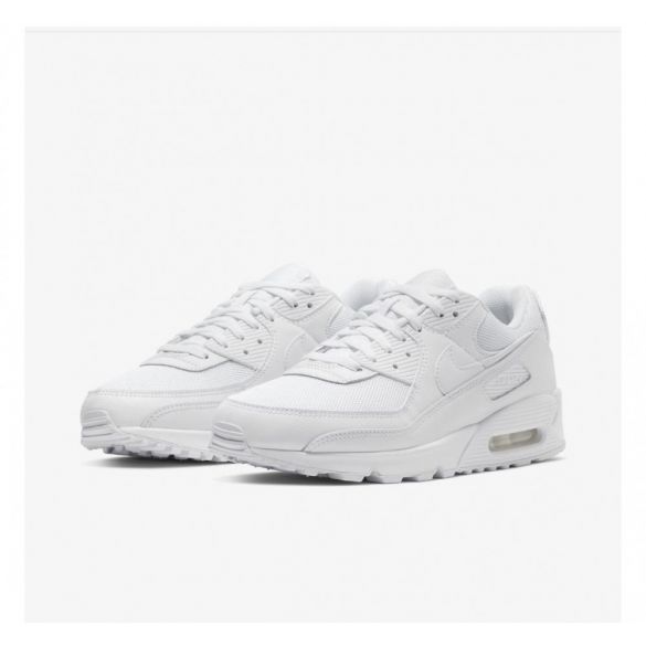 Кросівки NIKE AIR MAX 90 CN8490-100_image_4