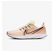 Жіночі кросівки Nike Air Zoom Pegasus 36Prm Rise AV6259-800