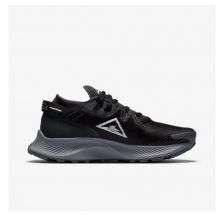 Жіночі кросівки Nike Pegasus Trail 2 Black CK4309-002