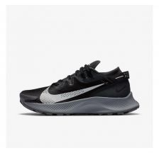 Жіночі кросівки Nike Pegasus Trail 2 Black CK4309-002