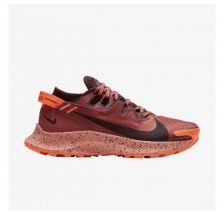 Жіночі кросівки Nike Pegasus Trail 2 Black CK4309-601