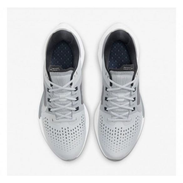 Кросівки чоловічі Nike Air Zoom Vomero 15 CU1855-003_image_4