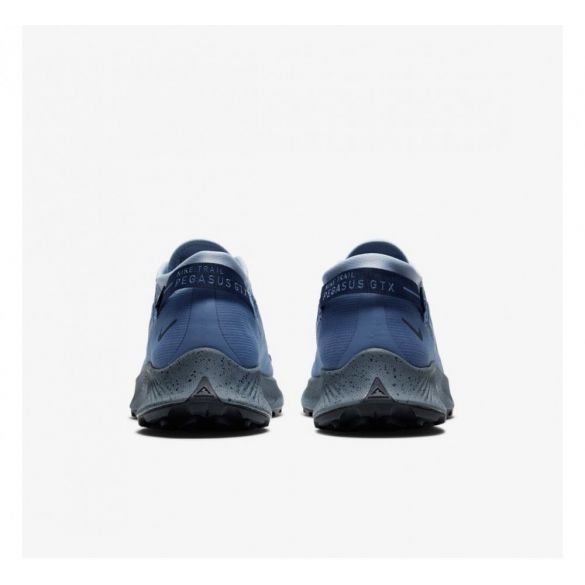 Кросівки NIKE PEGASUS TRAIL 2 GTX CU2016-400_image_3