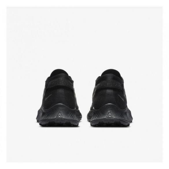 Кросівки NIKE W PEGASUS TRAIL 2 GTX CU2018-001_image_5