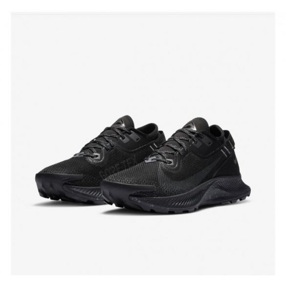 Кросівки NIKE W PEGASUS TRAIL 2 GTX CU2018-001_image_4