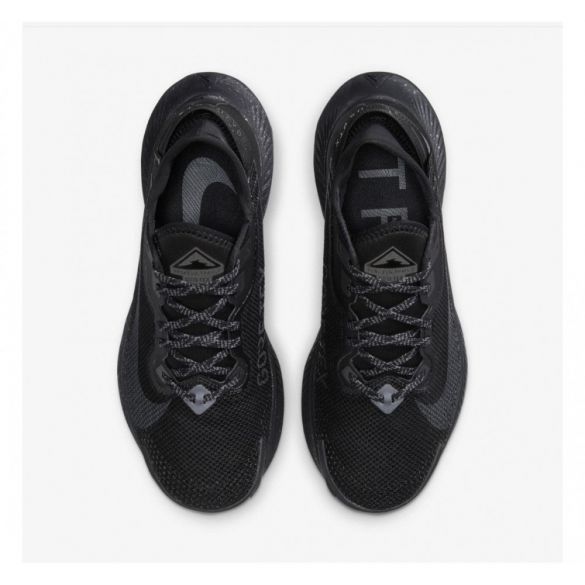 Кросівки NIKE W PEGASUS TRAIL 2 GTX CU2018-001_image_3