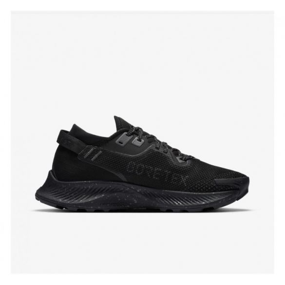 Кросівки NIKE W PEGASUS TRAIL 2 GTX CU2018-001_image_1