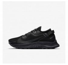 Кросівки NIKE W PEGASUS TRAIL 2 GTX CU2018-001