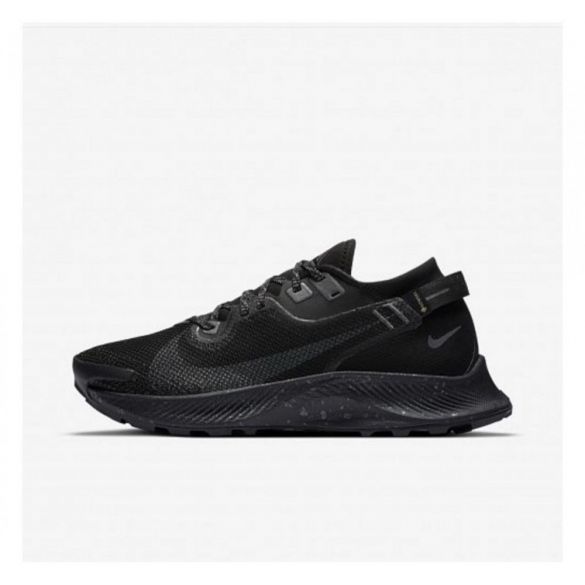 Кросівки NIKE W PEGASUS TRAIL 2 GTX CU2018-001_image_2