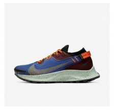 Кросівки NIKE W PEGASUS TRAIL 2 GTX CU2018-600