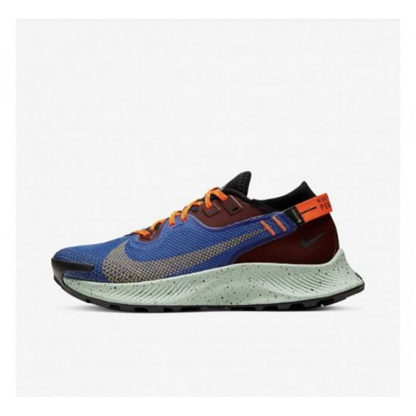  Кросівки NIKE W PEGASUS TRAIL 2 GTX CU2018-600_image_2