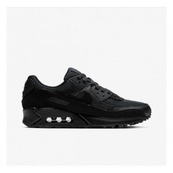 Жіночі Кросівки Nike W Air Max 90 CQ2560-002_image_1