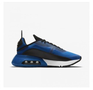 Кросівки Nike Air Max 2090 CV8835-400
