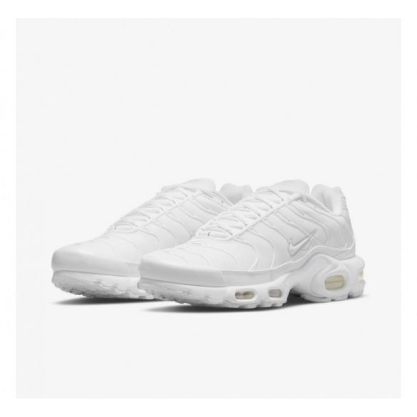 Женские кроссовки Nike Air Max Plus White Plus DM2362-100_image_6