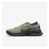 кросівки NIKE PEGASUS TRAIL DO6728-300_image_2